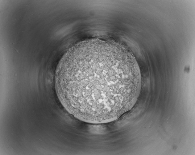 X0000103290281200809191838