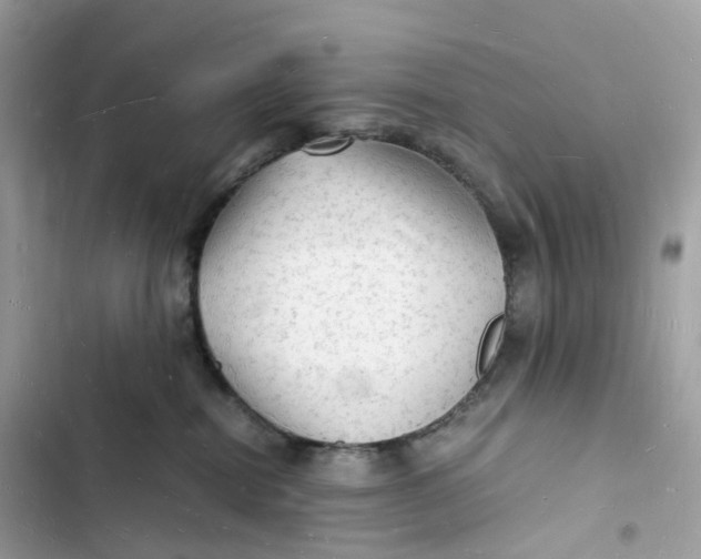 X0000103290282200809191838