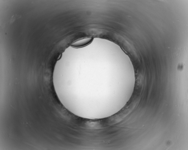 X0000103290283200809191838