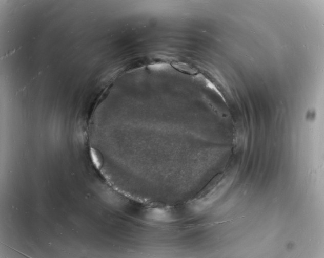 X0000103290285200809191838