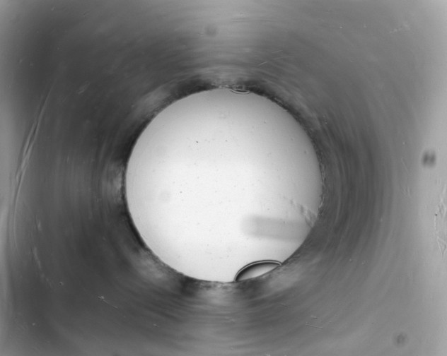 X0000103290288200809191838