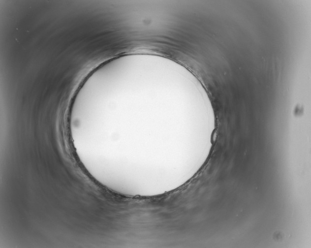 X0000103290289200809191837