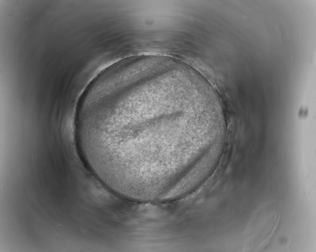 X0000103290290200809191837