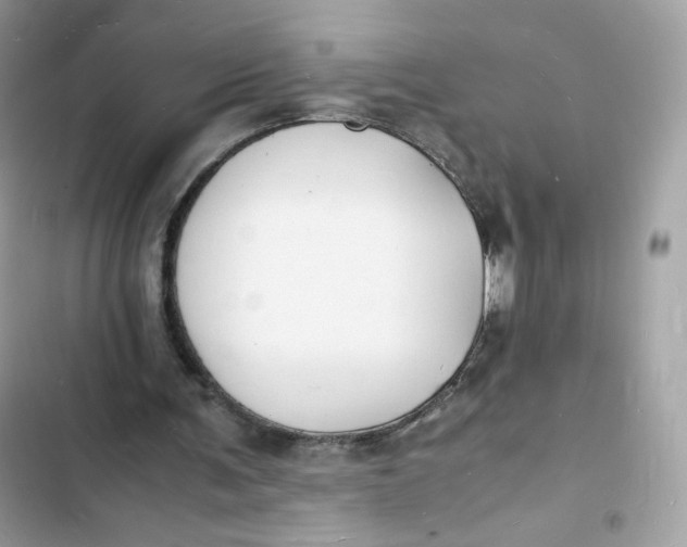 X0000103290291200809191837