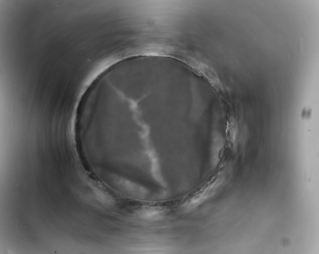 X0000103290292200809191837