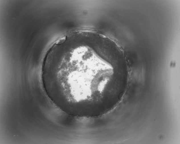 X0000103290293200809191837