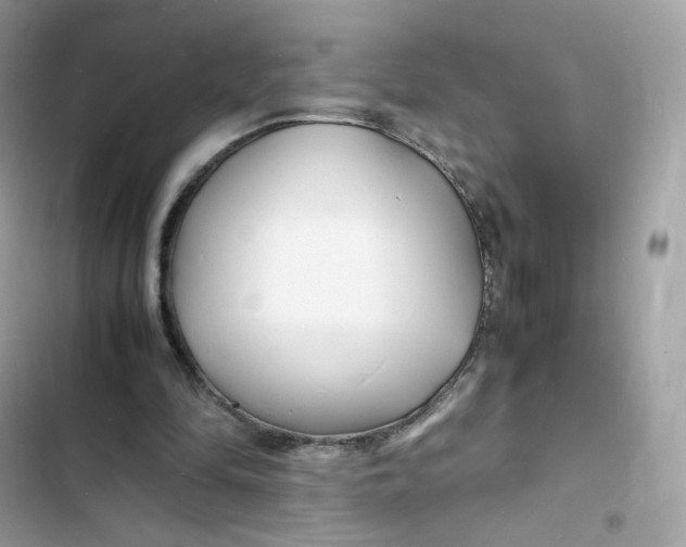 X0000103290294200809191837