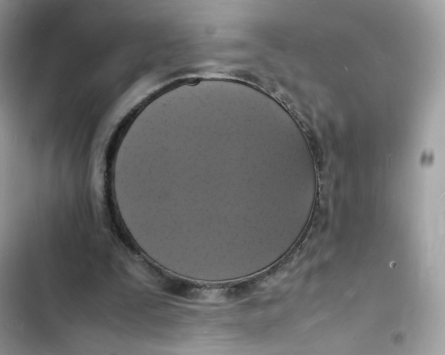 X0000103290295200809191837