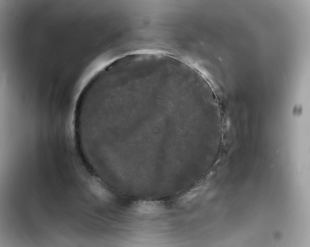 X0000103290296200809191837