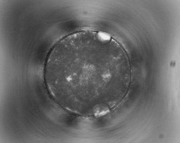 X0000103290297200809191837