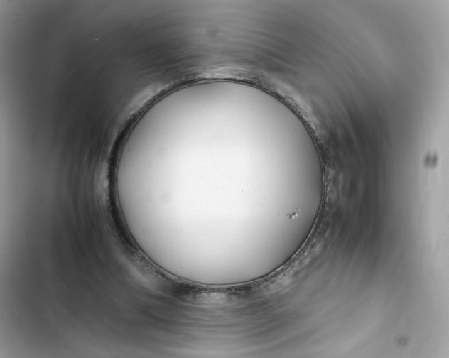 X0000103290298200809191837