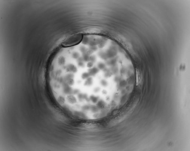 X0000103290300200809191837