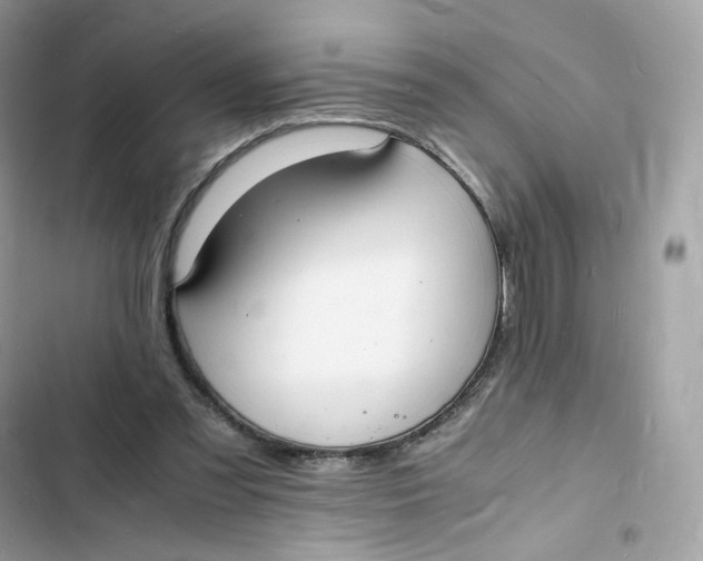 X0000103290301200809191837