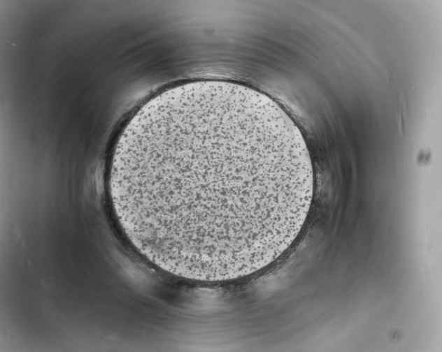 X0000103290302200809191837