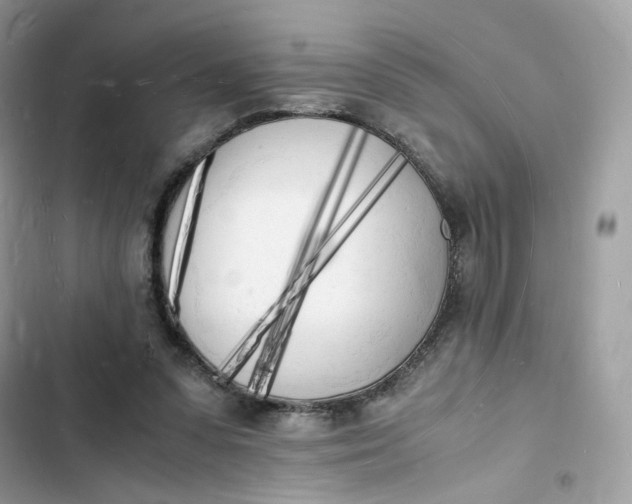 X0000103290303200809191837