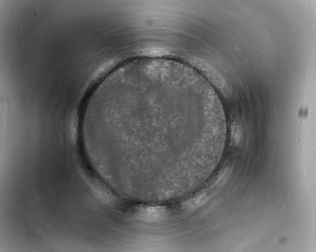 X0000103290304200809191837