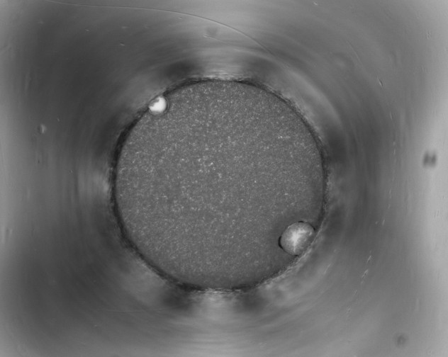 X0000103290305200809191837