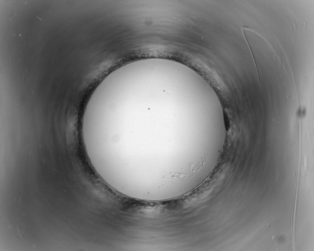 X0000103290306200809191837