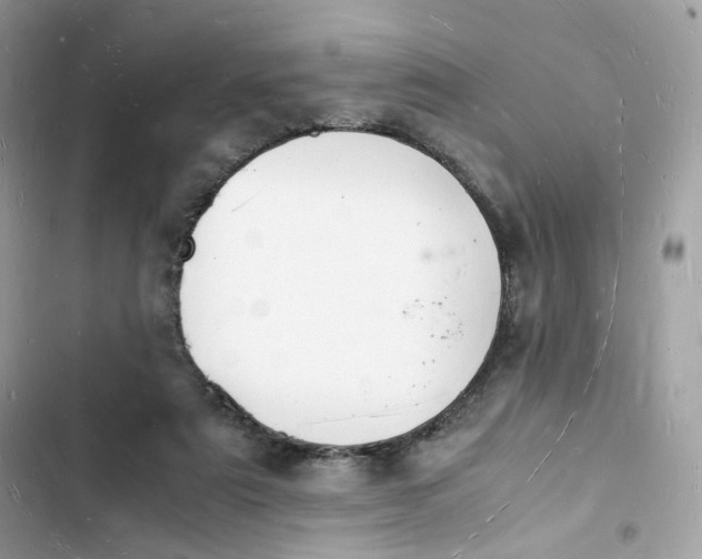 X0000103290307200809191837