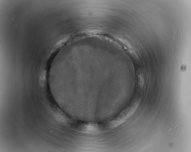 X0000103290308200809191837