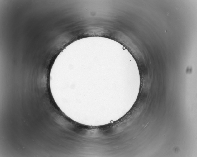 X0000103290309200809191837