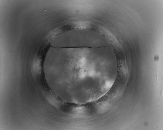 X0000103290312200809191837