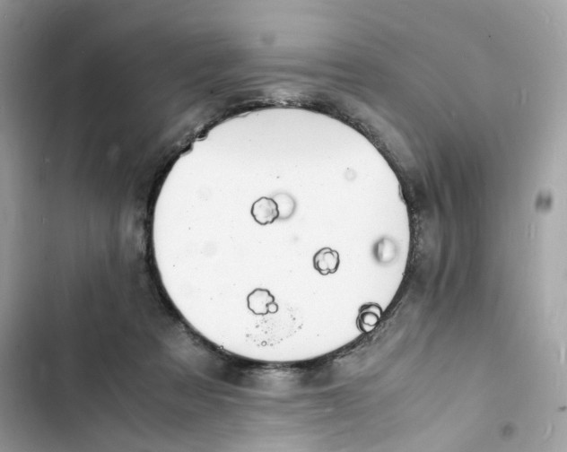 X0000103290313200809191837