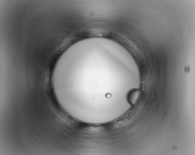 X0000103290314200809191837