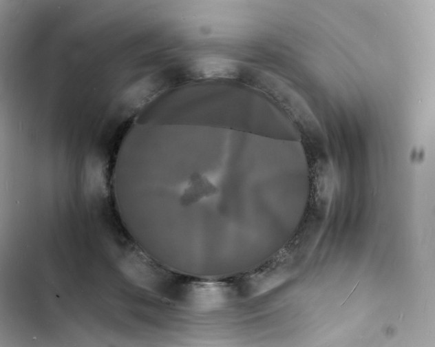 X0000103290316200809191837