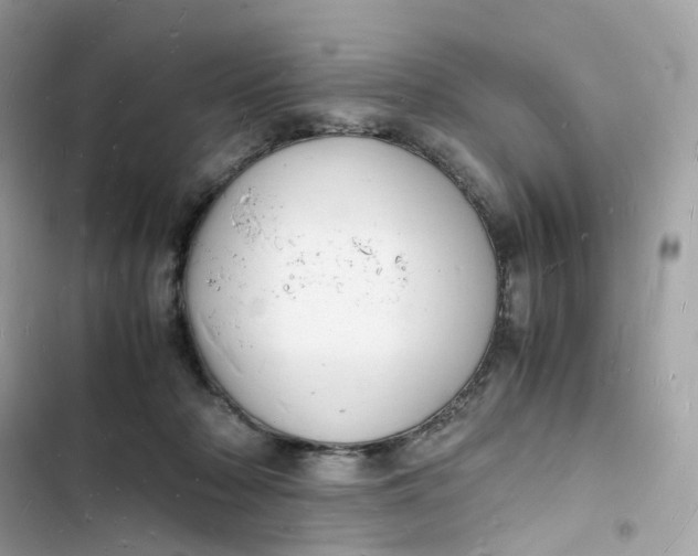 X0000103290318200809191837