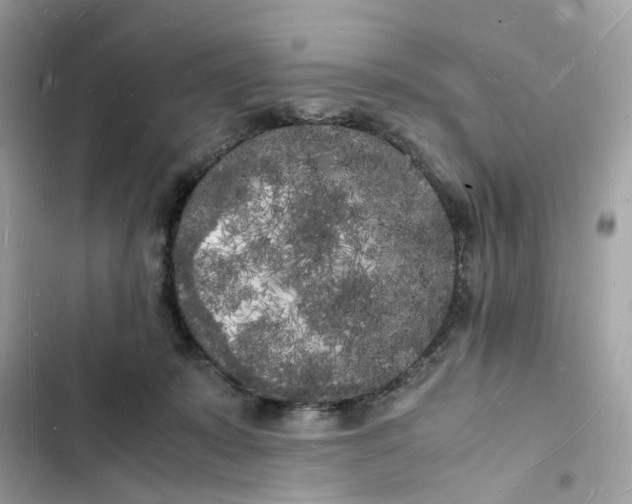 X0000103290319200809191837