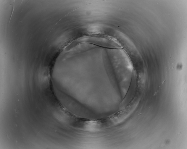 X0000103290320200809191837