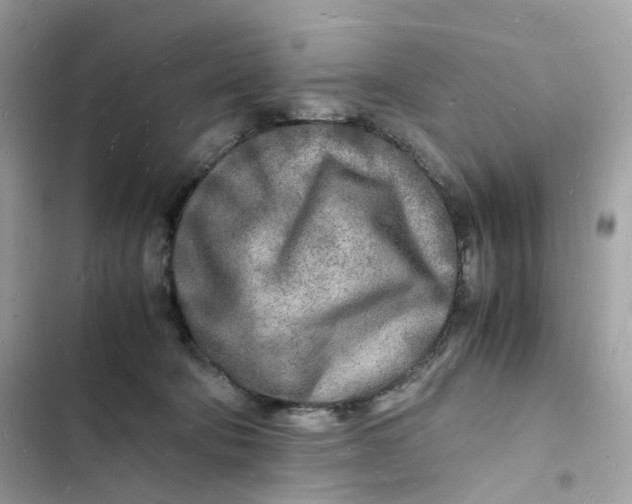 X0000103290322200809191837