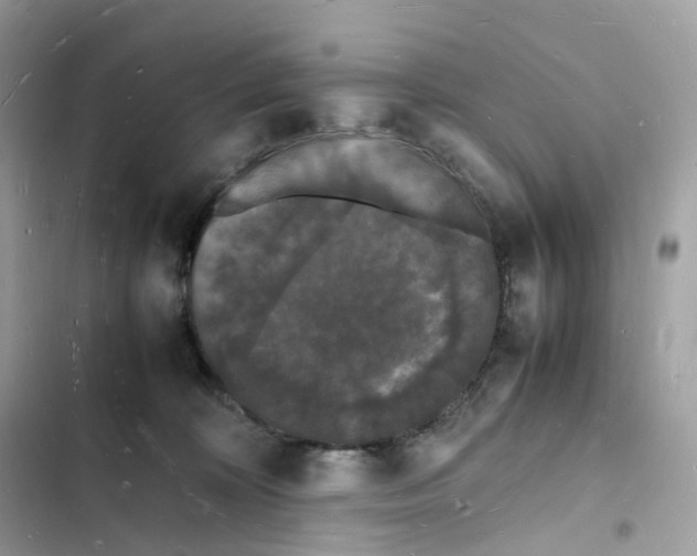 X0000103290324200809191837