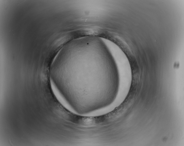 X0000103290325200809191837