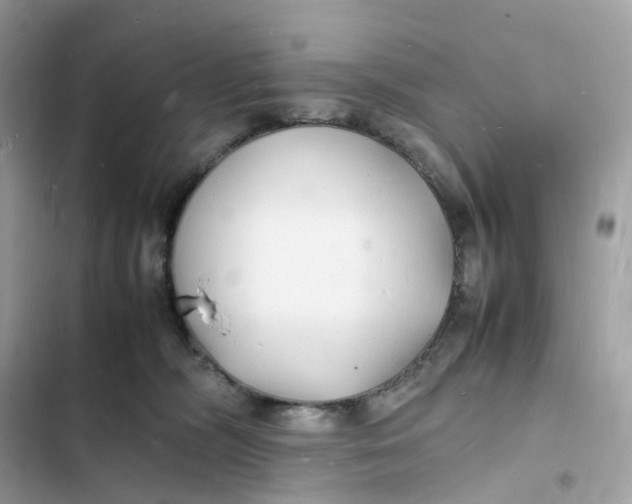 X0000103290326200809191837