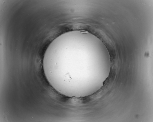 X0000103290327200809191837