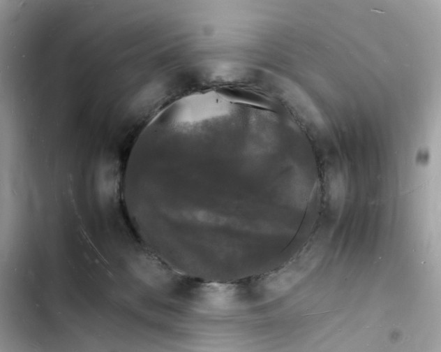 X0000103290328200809191837