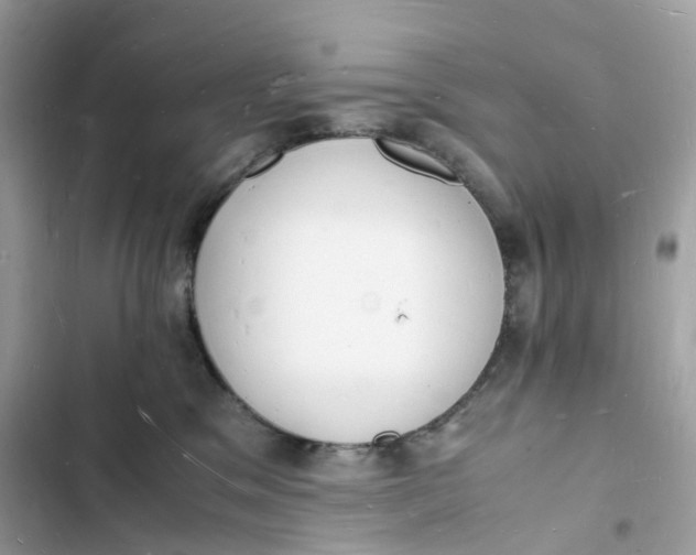 X0000103290329200809191837