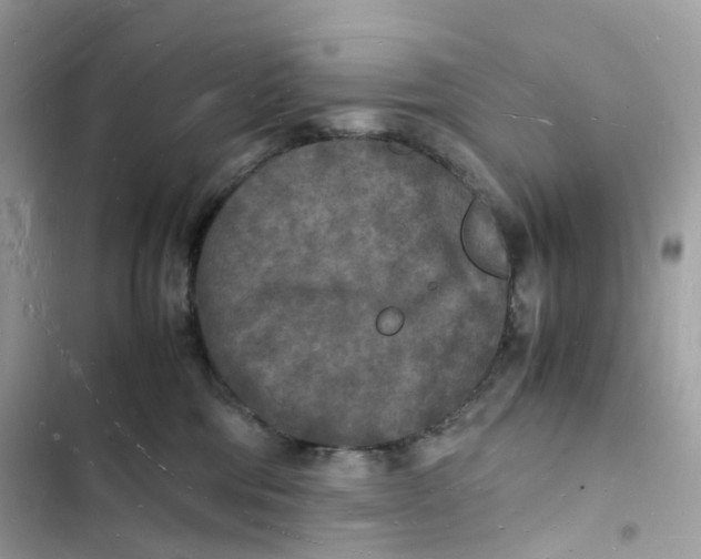 X0000103290330200809191837