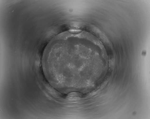 X0000103290331200809191836