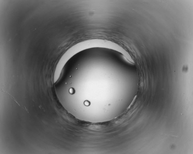 X0000103290332200809191836