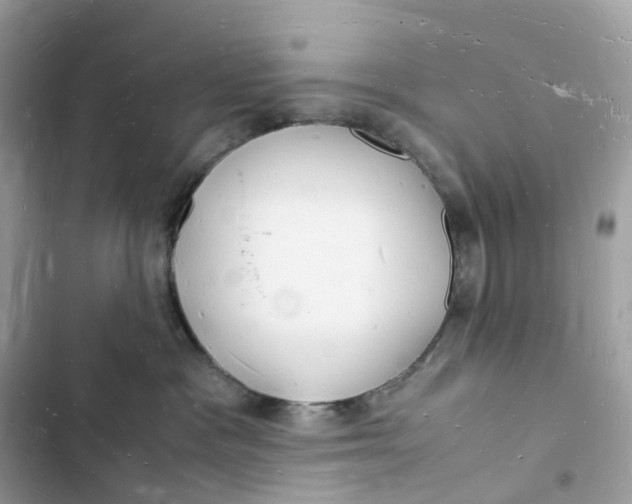 X0000103290333200809191836