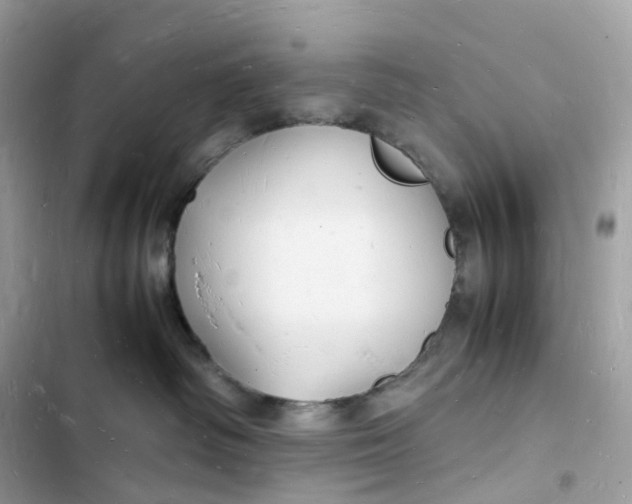 X0000103290334200809191836