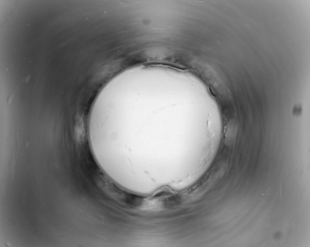 X0000103290335200809191836