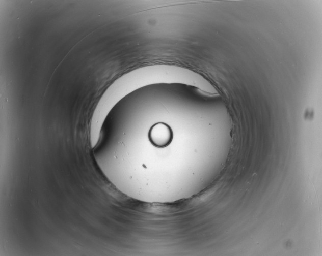 X0000103290336200809191836