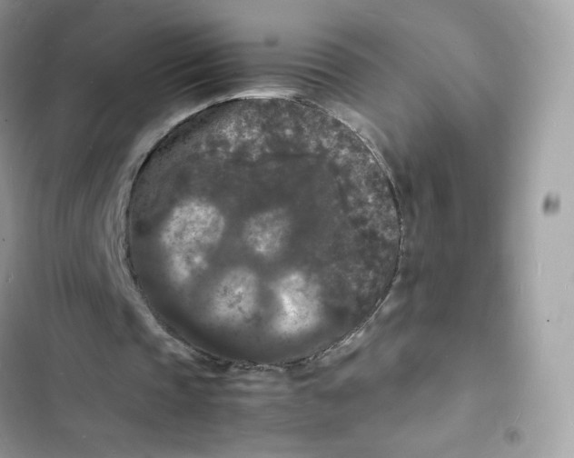 X0000103290337200809191836