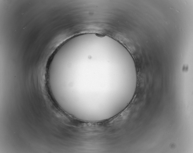 X0000103290338200809191836