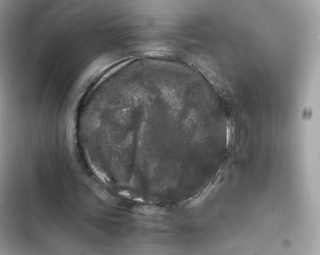 X0000103290339200809191836