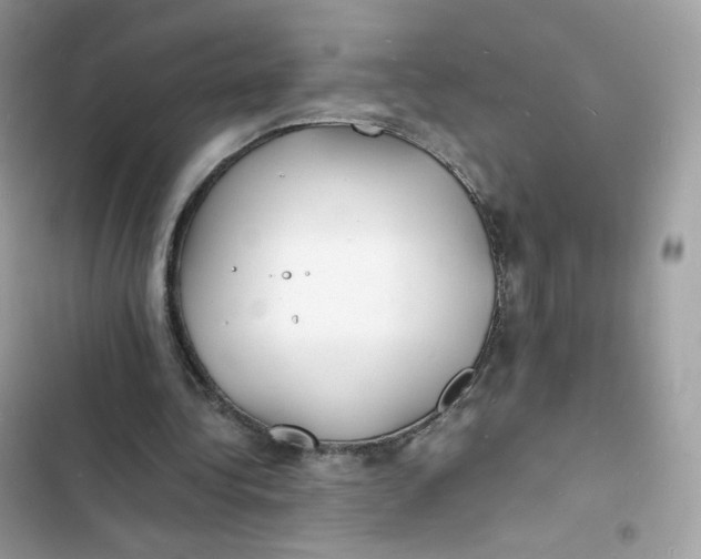 X0000103290340200809191836